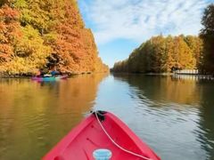 -上海海湾国家森林公园