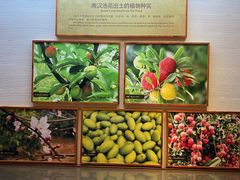 -南越王博物院(王宫展区)
