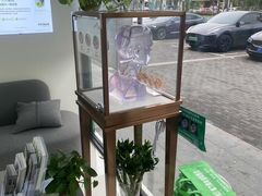 -自然之声助听器·呼吸机(康桥旗舰店)