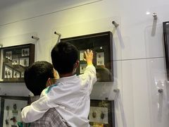 -上海昆虫博物馆