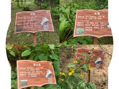 -草根堂农场