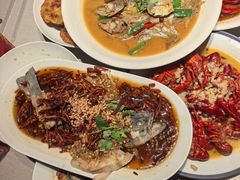 -杨氏青龙虾·羊蝎子(金盛路总店)