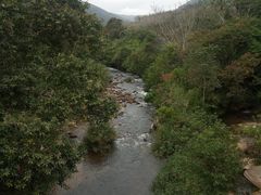 -海南热带雨林国家公园吊罗山景区