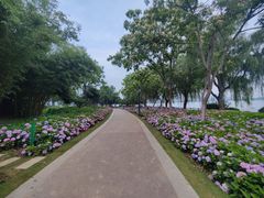 -金银湖国家城市湿地公园