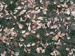 -森林公园(尖草坪区)