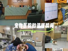-康成宠物医院24H·CT·核磁共振