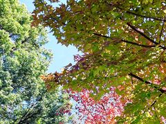 -杭州师范大学(下沙校区)
