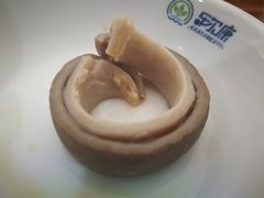 -15年老字号鑫鑫猪肚鸡·椰子鸡海南火锅(兴隆华侨农场店)