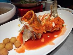 特色松鼠鱼（苏州招牌菜）-姑苏家宴·苏帮菜·松鼠桂鱼(苏州总店)