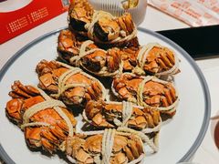-杨氏青龙虾·羊蝎子(托乐嘉店)