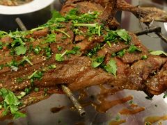 烤全羊-杨正宗烤全羊(北二环店)