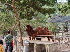 -广东茂名森林公园