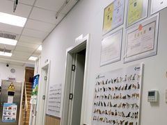-宠福鑫康馨动物医院·骨科·眼科