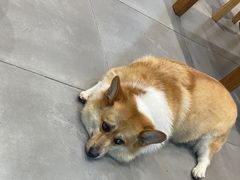 -阿木舂记·特色小吃(平江路店)