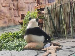 -泉州海丝野生动物世界