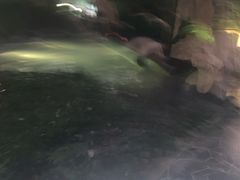 -海兰云天度假区温泉