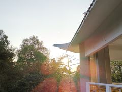 -榴花公园