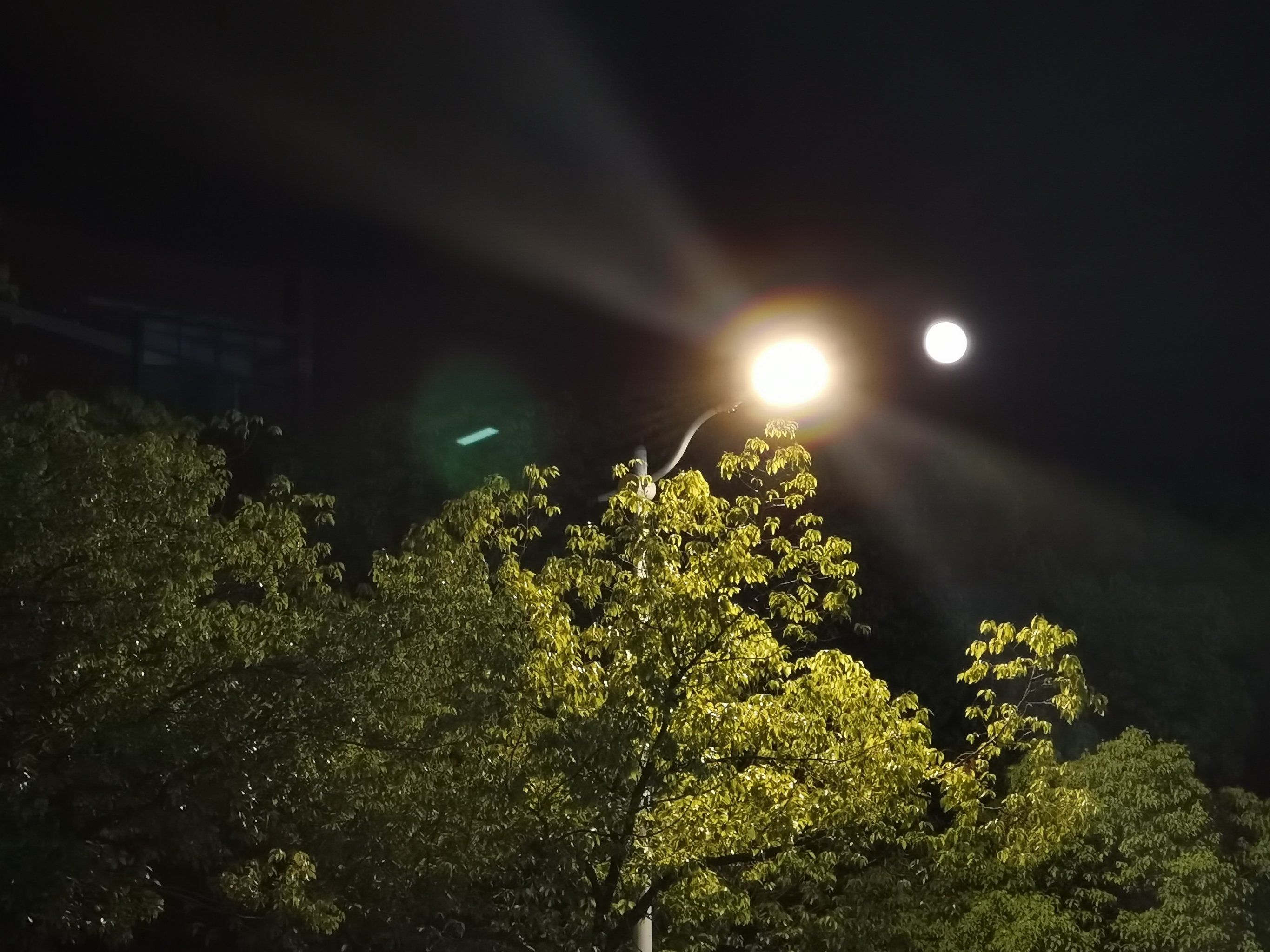 【临江仙】冬夜惊梦