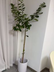 -颜续美容美体