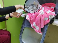 -美联众合动物医院·24h转诊中心
