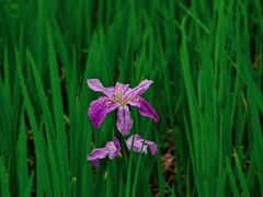 -苏州河梦清园环保主题公园