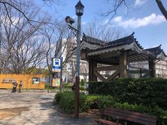 -名古屋城