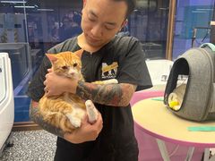 -FAELING PETS美天灵宠物(富力广场店)