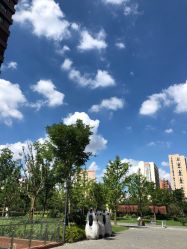 -苗方清颜·祛痘皮肤管理