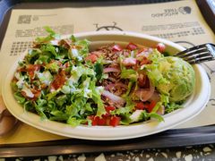 -油梨树AVOCADO TREE(顺义新国展店)