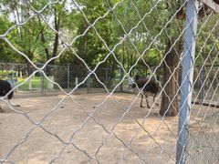 -长白岛森林公园