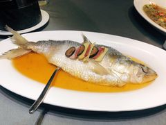 酒香蒸鲥鱼-魏公馆(昆太路店)