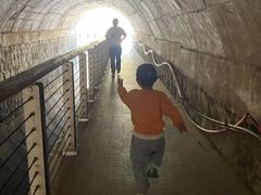 -白水寺森林公园