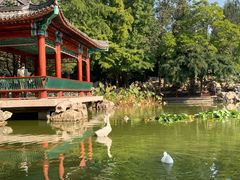 -宣武艺园