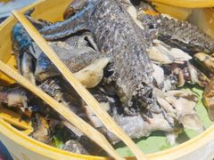 客家黑鸡汤-黑鸡小馆(金源店)