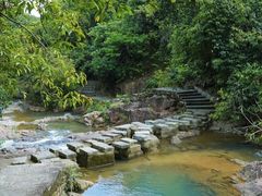 -广州白江湖森林公园