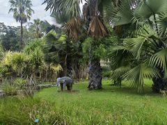 -中国科学院西双版纳热带植物园