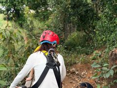 -清迈丛林飞跃 JungleFlight