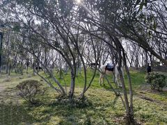 -合肥三国新城遗址公园