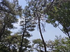 -沂蒙山旅游区龟蒙景区