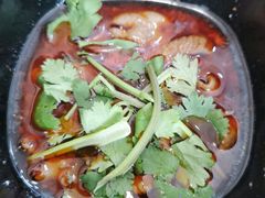 红烧肥肠-重庆小面