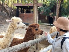 -清迈夜间动物园