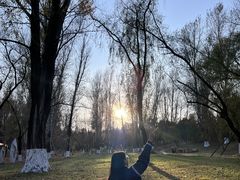 -长春世界雕塑园冰雪艺术天地