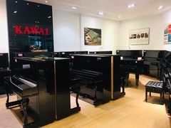 -柏斯琴行(汾阳店)
