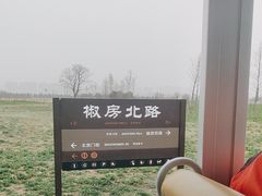 -汉长安城未央宫国家考古遗址公园