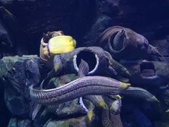-珠海长隆海洋王国