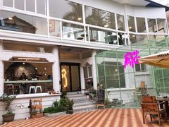 -有猫主题·治愈系猫咖(曾厝垵店)