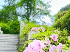 -素山寺森林公园