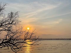 -宝安西湾红树林湿地公园