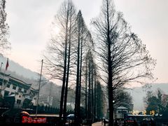 -九华山风景区