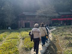 -常德桃花源景区